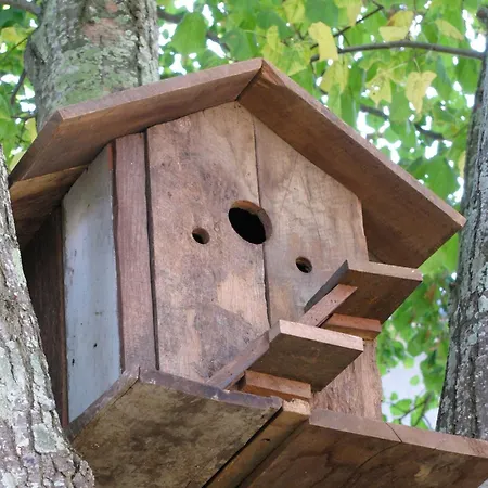 Le Domaine Des Gauliers לינה וארוחת בוקר 4*